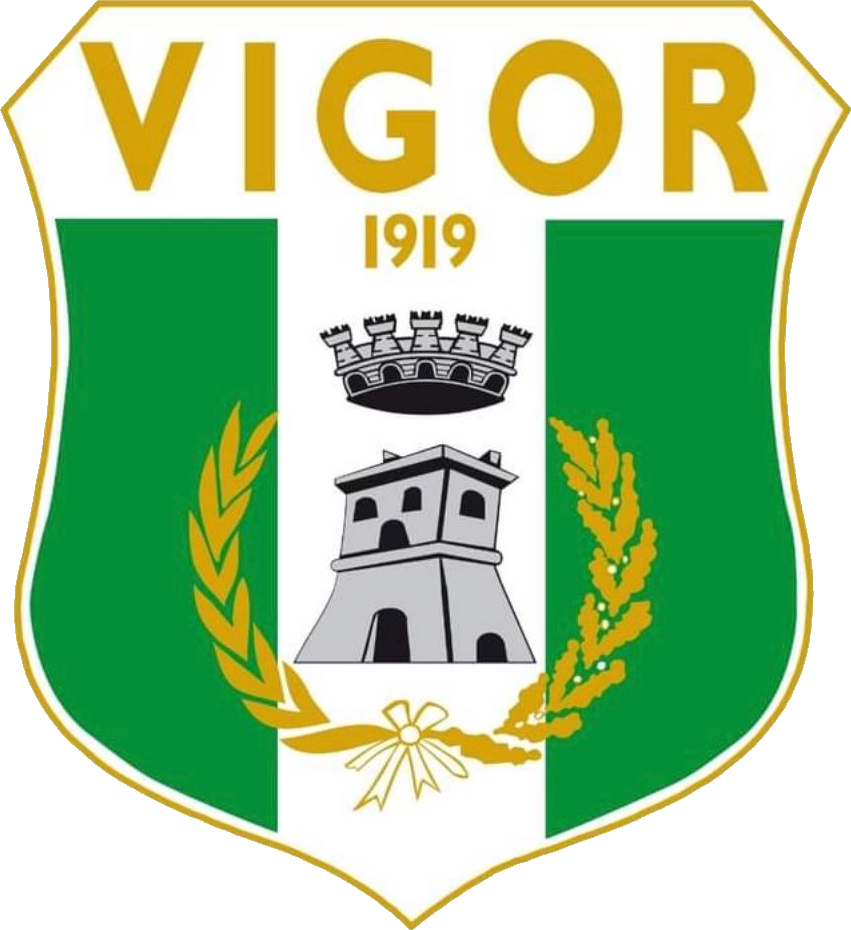 Vigor Lamezia Calcio 1919 Associazione Sportiva Dilettantistica